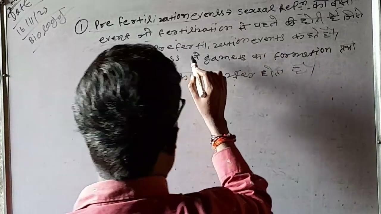 Human Reproduction Sexual Reproduction Lecturer 02 CL11 12 Mq Rbc human-reproduction-sexual-reproduction-lecturer-02-cl11-12-mq-rbc