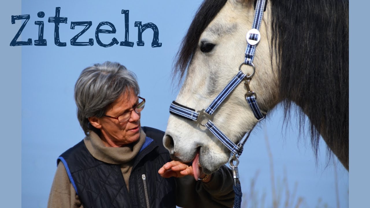 Die Pferdeomis erzählen 2