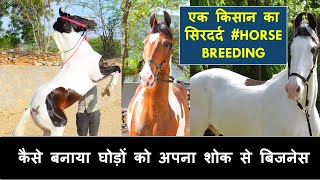 कैसे बनाया घोड़ों को अपना शोक से बिजनेस || एक किसान का सिरदर्द #HORSE BREEDING DINESH JI 6350549251