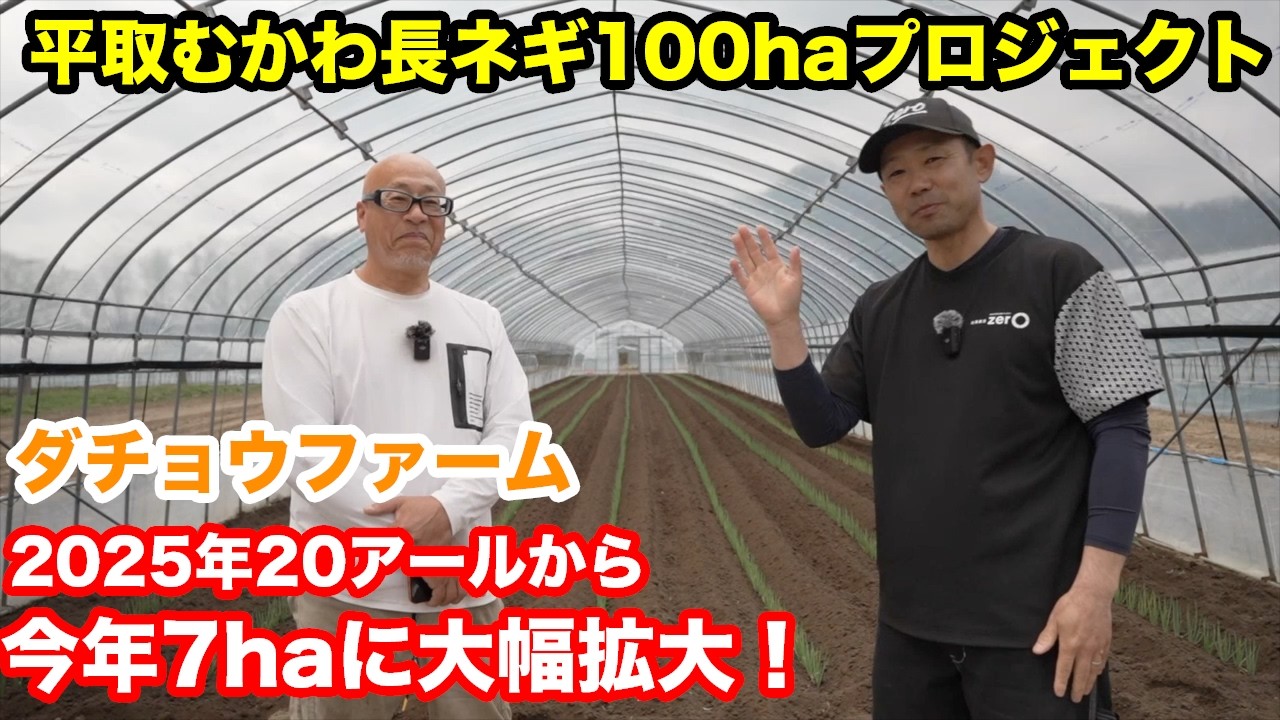 【長ネギ栽培】2年目で20aから7haへ大拡大！ダチョウファームの圧倒的大面積・作付計画に迫る【平取・むかわ】