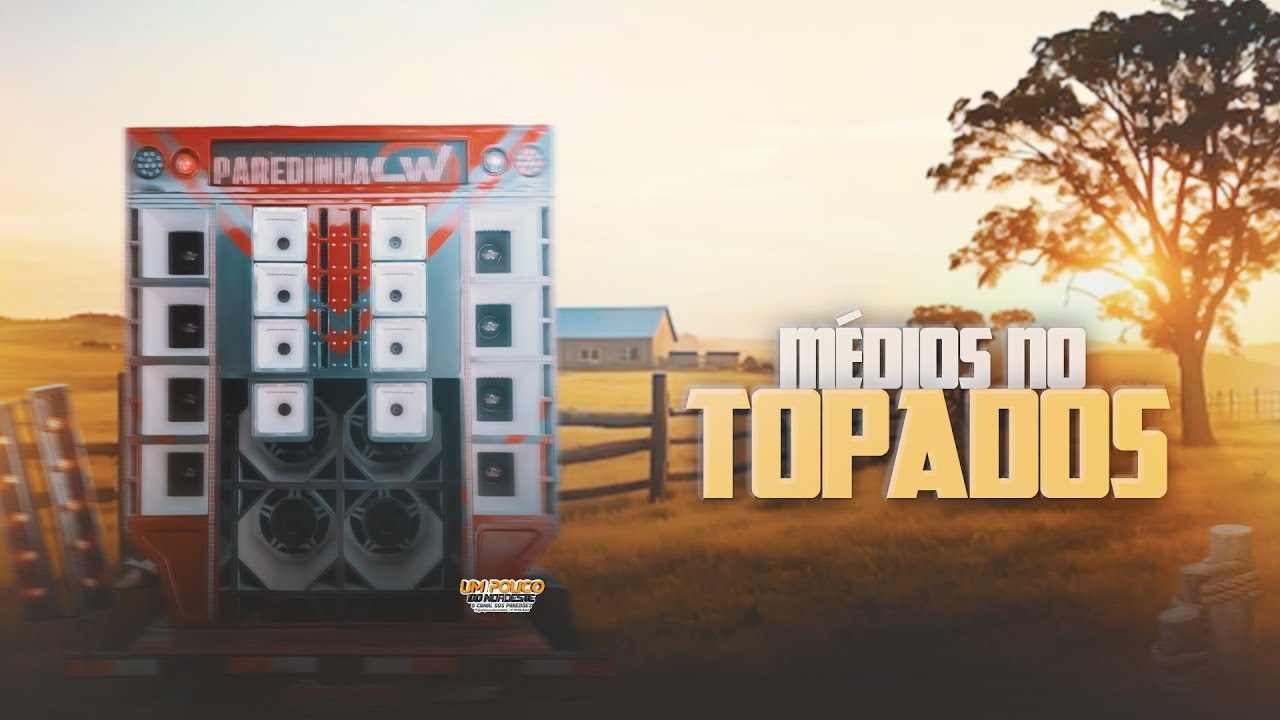 ROMÁRIO PISADINHA REP.NOVO SÃO JOÃO PRA PAREDÃO 2K25