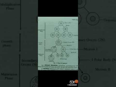 B.Sc.Part-2 Paper-3 Zoology