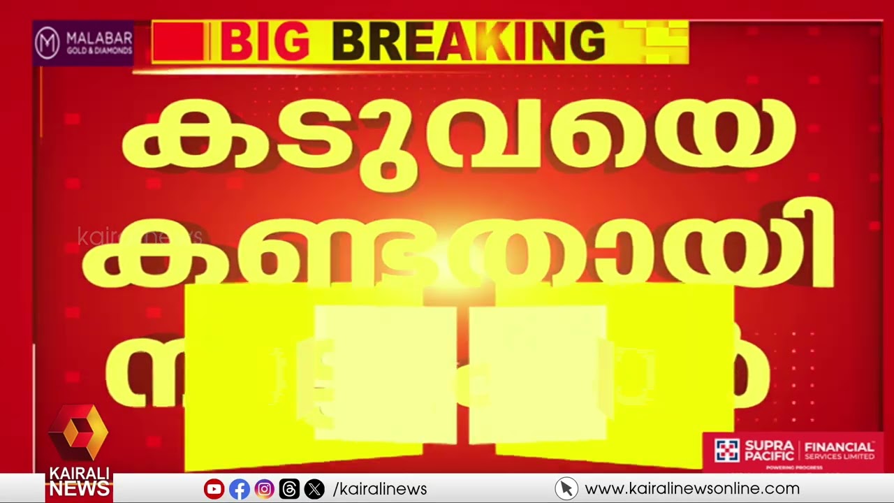 വയനാട് ചുണ്ടയിൽ കടുവയെ കണ്ടതായി നാട്ടുകാർ | WAYANAD | FOREST DEPARTMENT | TIGER