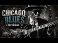 #105 Midnight Chicago Blues – Smoky Electric Guitar Live | B.B. King Inspired
