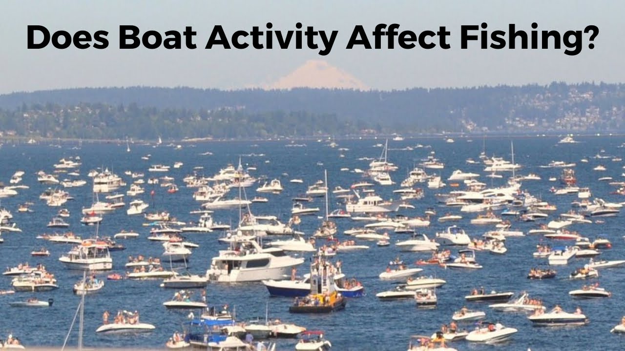 Does boat pressure affect fishing? YouTube