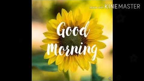 CBSE computer class 2 chapter 2 part 2 Computer A smart machine