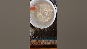 Day 7 Sourdough Starter from scratch // It