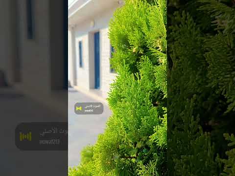 جماال الطبيعة🔥✨ #اكسبلور #لايك
