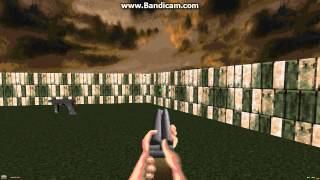 Isle Of The Dead Weapons + Zombie Woman in Doom