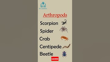 Arthropods #shorts #youtubeshorts