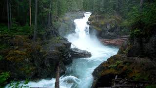 Ohanapecosh Falls Mount Rainier National Park