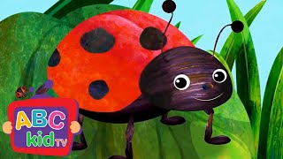 Finger Family with Lady Bug | Preschool Learning - ABC KidTV | Nursery Rhymes & Kids Songs
