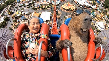 Capybara và Bà Tám Đi Tàu Lượn Siêu Tốc Độ #Capybara