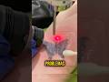 SILICONE DE TATUAGEM EXPLICADO! #curiosidades #tattoo #interessante #curioso #shorts #viral