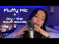 Asmr  fluffy mic  dry  wet mouth sounds 