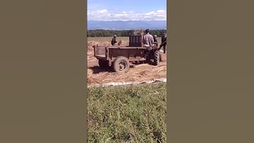 Mind-Blowing! Mountain Folks Thresh Buckwheat With a Tractor – Pure Genius!