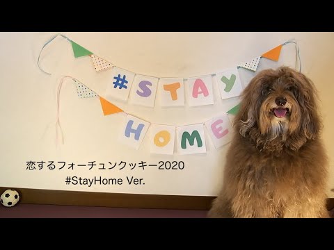 【外出自粛中】恋するフォーチュンクッキー2020 StayHomeVer.
