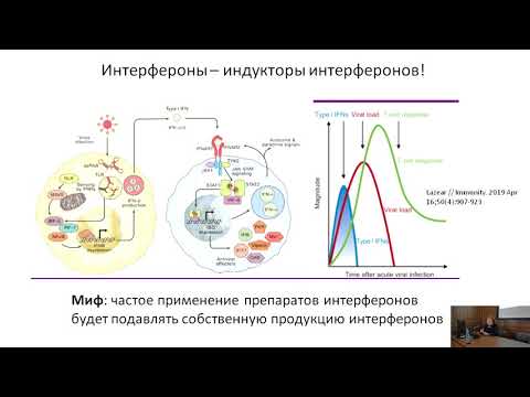 Патогенетическое обоснование иммунотерапии в лечении хронических рецидивирующих инфекций.