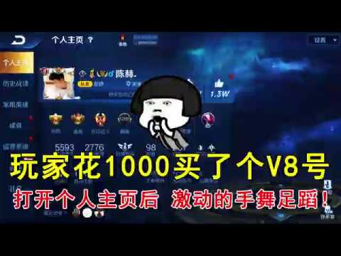 王者荣耀：玩家花1000买了个V8号，打开个人主页后，激动的手舞足蹈！