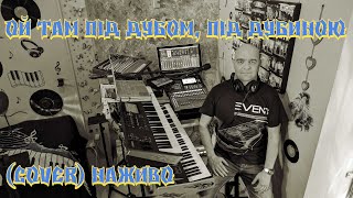 картинка: Ой там під дубом, під дубиною (COVER) НАЖИВО ( Ketron EVENT - Yamaha MODX7 ).