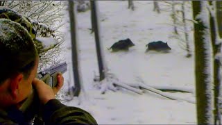 Hunting Serbia - Wild boar hunting | Lov na divlje svinje - Bajina Bašta | Caccia ai cinghiali