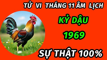 Tử vi trong tháng 11 âm lịch cho tuổi kỷ dậu 1969 bão lộc đổ về trúng mánh đổi đời giàu cực khủng 