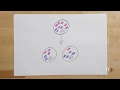 Understanding Mitochondrial Inheritance
