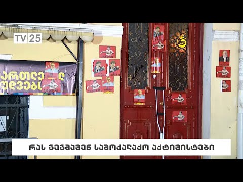 რას გეგმავენ სამოქალაქო აქტივისტები