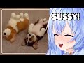 Whos the impostor  mifuyu reacts to unusual memes compilation v245