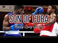 Andy cruz gomez highlight  son of cuba