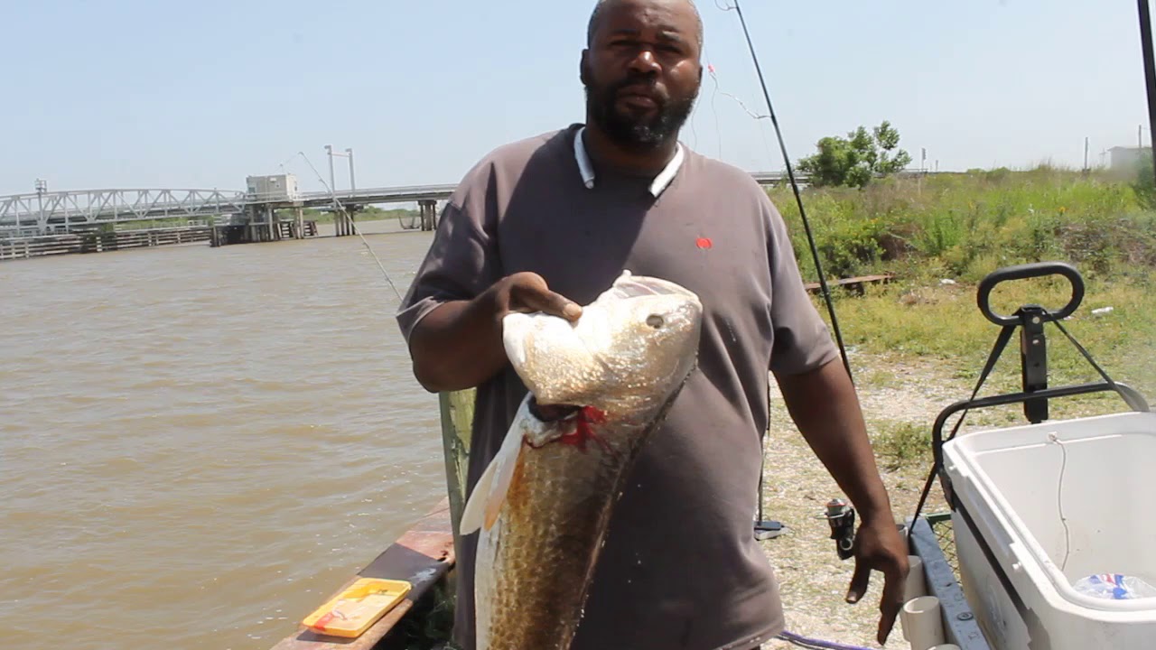 Roadside Louisiana Bull Redfish