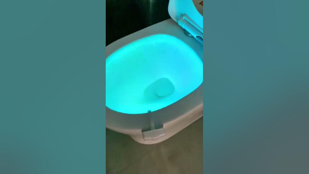 Dropship Colorful Toilet Bowl Lights Motion Sensor LED Toilet