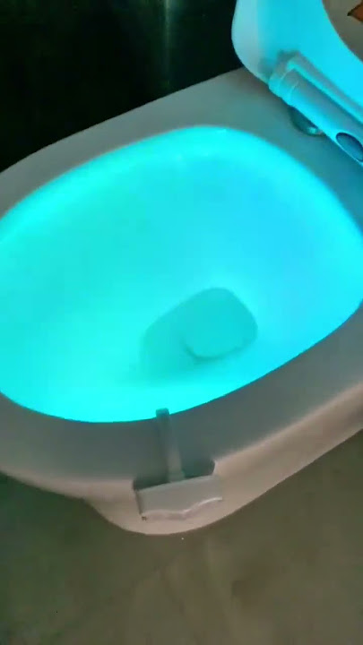 Motion Activated Disco Toilet Bowl Light –