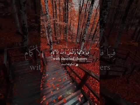 قرآن سوره الرحمن آیه10 الله    اللهم صل وسلم على نبينا محمد حق 