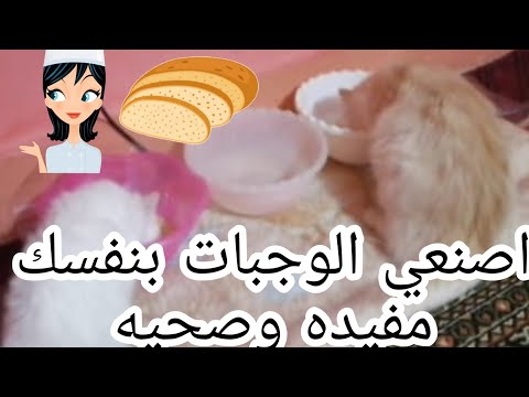 فيديو: طعام قطط فيليكس - مراجعات Feefo