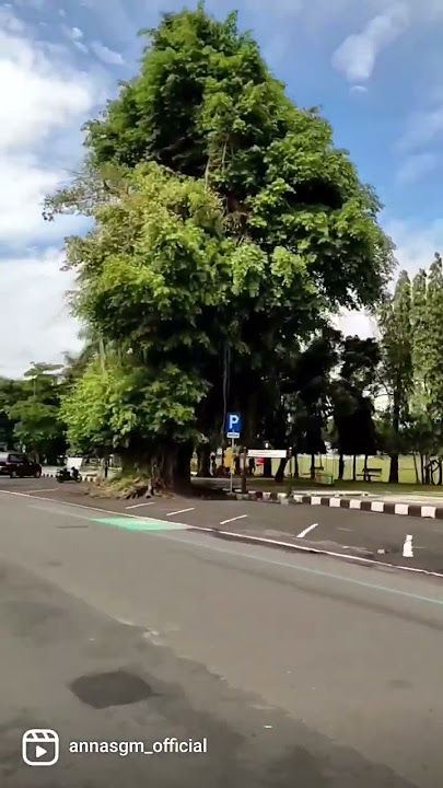 Alun-alun Kota Purworejo #shorts