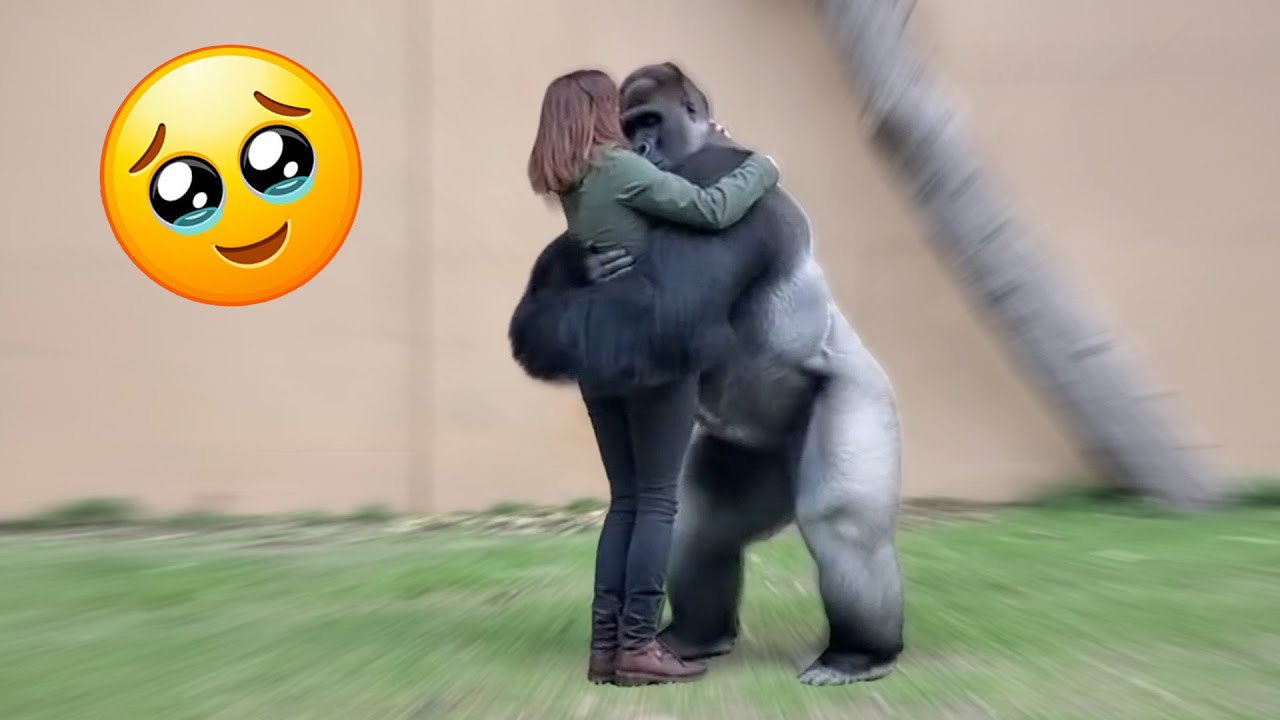 Животные никогда не забывают тех, кого любят… Эти моменты захватывают дух.