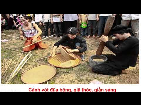 Bài giảng trực tuyến Thứ Tư ngày 22/04/2020 Môn Luyện từ và câu - Lớp 5 - Bài: Luyện tập thay thế từ ngữ để liên kết câu - Tuần 26