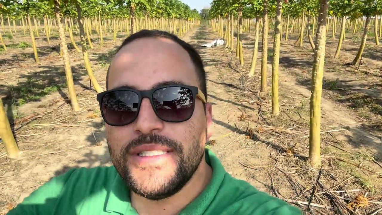 Vagner Rosendo