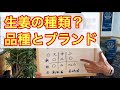 生姜の品種とブランドに関して、大中小、高知系？長崎系？新生姜と根生姜の生姜の違い