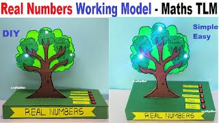 Celebrity real numbers working model maths tlm for exhibition - diy | maths project | class 9/10 | craftpiller Net Worth