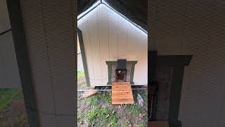 I recently installed an automatic chicken door from Farmlite.
