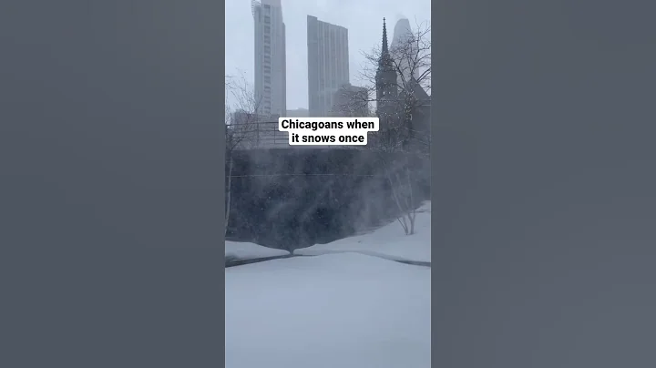 When it snows in Chicago #360chicago #chicago #weather #winter #snow #freezing #chicagoweather