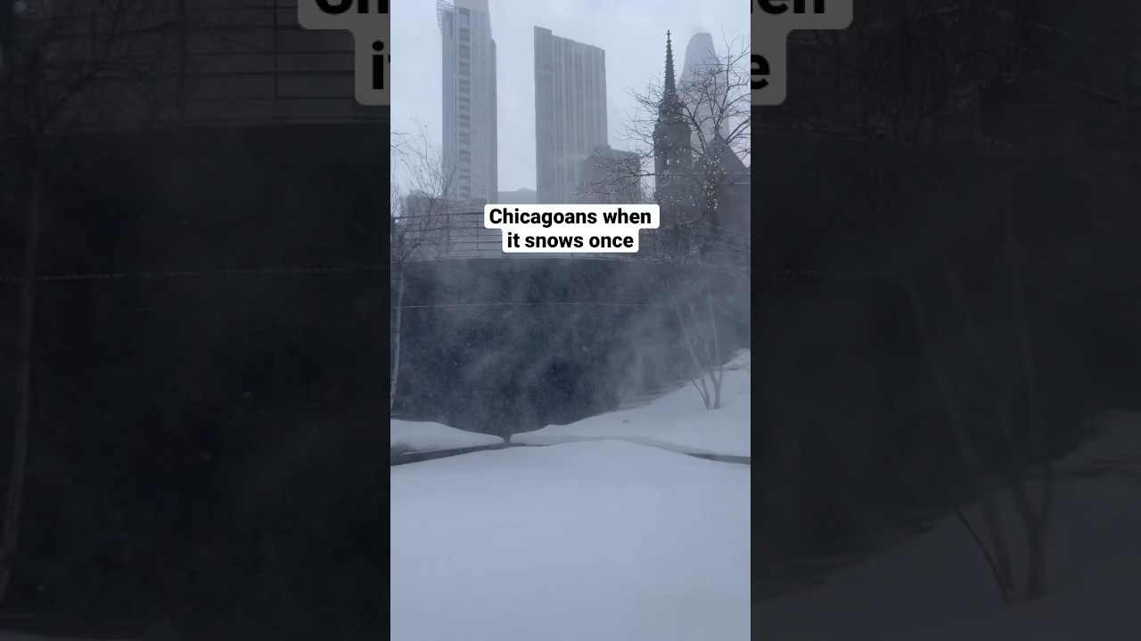 Когда в Чикаго идет снег 