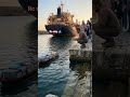 Tiny RC Container Ship Next To REAL Cargo Ship 🚢😱| Realistic Control RC #rcships #rcfun #realistic
