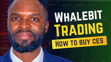 HOW TO BUY WHALEBIT | CES | COIN FROM WHALE DEX | W-DEX #coin #dex #blockchain #metawhale