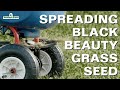 Spreading black beauty grass seed from jonathan green