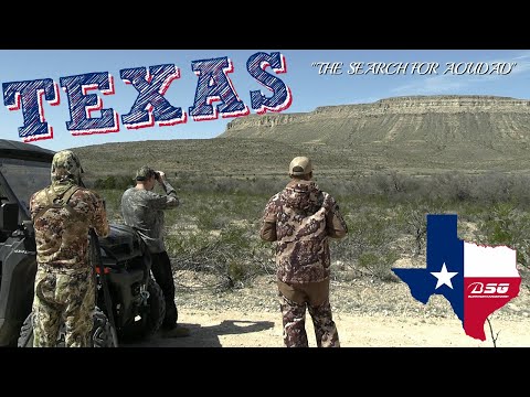 TEXAS Aoudad Hunt!!! [Days 1 & 2] **Glassing for Rams in the Desert** (2024) #hunting #vlog