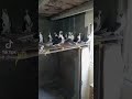 صباحكم بلون قلوبكم