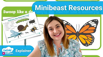 EYFS Minibeast Resources